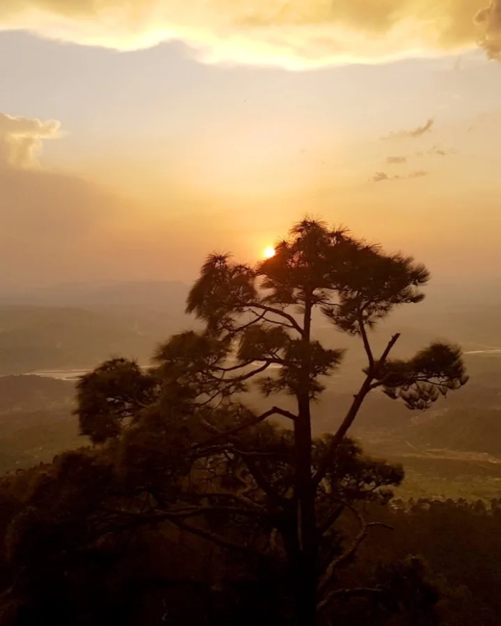 Ricordi che vivono oltre il tempo